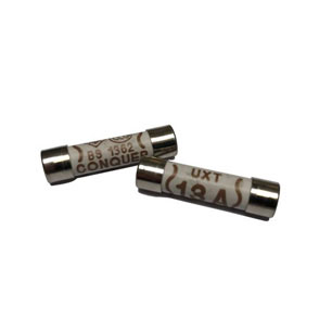 Slow Blow 13 Amp Fuses x 2 (Time Delay Fuse)
