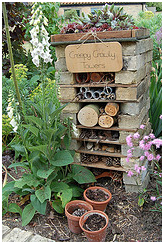 Bug Hotel