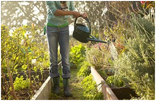 Watering Plants