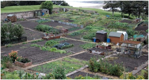 Allotment